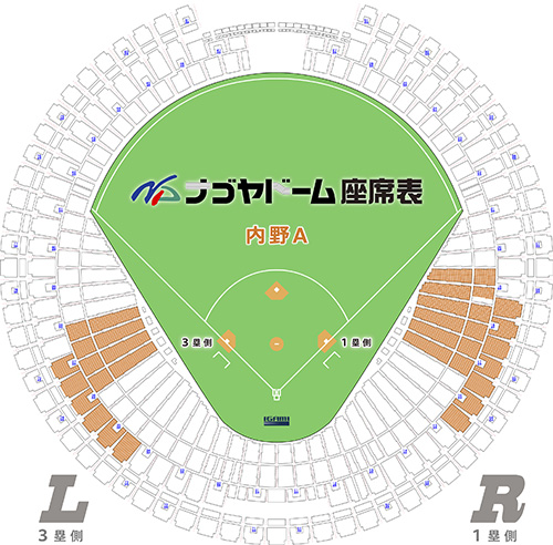 ドラゴンズ外野応援（一塁側）